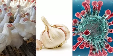 உலகை அச்சுறுத்தும் கொரோனா.. உயிர்பலி வாங்கும் வதந்திகள்..!