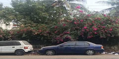 கேட்பாரற்று நிற்கும் வாகனங்கள்? - செல்போன் செயலியை அறிமுகப்படுத்திய சென்னை போலீசார்