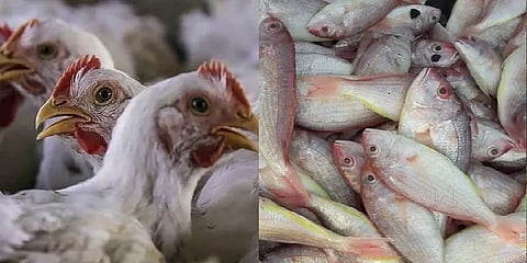 கொரோனா அச்சுறுத்தல்: இறைச்சி விற்பனை வீழ்ச்சி - மீன் விலையேற்றம்!