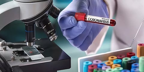 ஐரோப்பாவை நடுங்க வைக்கும் கொரோனா வைரஸ்