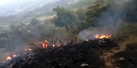 தேனி வனப்பகுதியில் காட்டுத்தீ - 3 குழந்தைகள் உட்பட 8 பேர் சிக்கியுள்ளதாக தகவல்