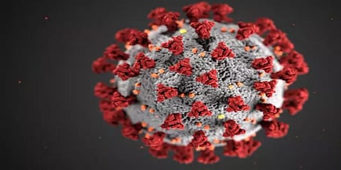 தமிழகத்தில் 38 பேருக்கு கொரோனா பாதிப்பு