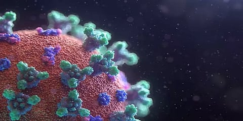 விருதுநகர்: டெல்லி ஜமாத் மாநாட்டில் பங்கேற்ற 13 பேருக்கு கொரோனா பரிசோதனை!