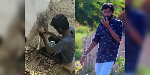 ஊரடங்கு நெருக்கடியைச் சமாளிக்கப் பசு மாட்டில் பால் கறந்த ‘மாஸ்டர்’ பட நடிகர் - வீடியோ
