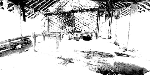 இரவு வயலுக்கு சென்ற விவசாயி : காலையில் குடும்பத்தினருக்கு காத்திருந்த அதிர்ச்சி..!