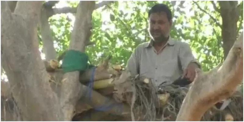 சமூக இடைவெளிக்காக மரத்தில் வீடுகட்டி தங்கும் நபர் !