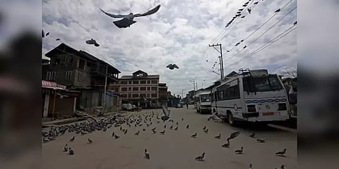 21 நாள் ஊரடங்கில் இந்தியாவிற்கு எவ்வளவு இழப்பு ?