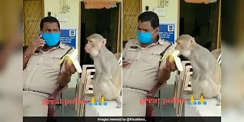 கையில்லாத குரங்கிற்கு அன்பாக வாழைப்பழம் ஊட்டிவிடும் காவலர் - வைரலான வீடியோ