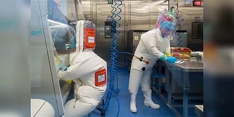 'எச்.ஐ.வி. ஆய்வின் போது நேர்ந்த தவறினால் கொரோனா உருவாகியிருக்கலாம்' - நோபல் பரிசு விஞ்ஞானி