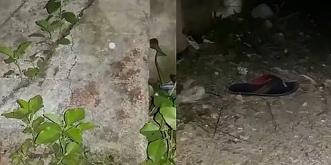 முன்விரோதம்: சென்னையில் 24 வயது இளைஞர் வெட்டிக்கொலை!