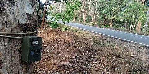 முதுமலை புலிகள் காப்பக சாலைகளில் தானியங்கி கேமராக்கள்.. காரணம் என்ன?