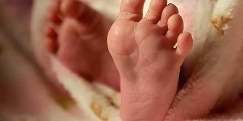 முட்புதரிலிருந்து கேட்ட பச்சிளம் குழந்தையின் அழுகுரல்.. மருத்துவமனைக்கு விரைந்த ஆம்புலன்ஸ்