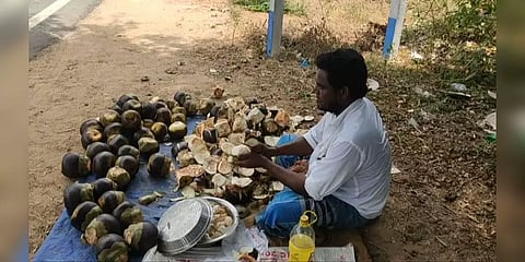 வருமானம் இல்லாமல் தவிக்கும் நுங்கு மற்றும் தர்பூசணி விவசாயிகள்..!