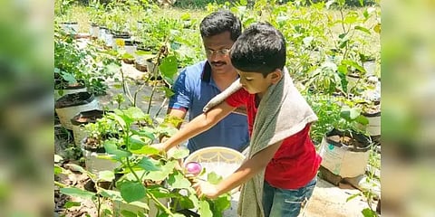 ஊரடங்கை மன அழுத்தம் இல்லாமல் கடக்க ‘கிச்சன் கார்டன் சேலஞ்ச்’ - ஐபிஎஸ் அதிகாரி யோசனை