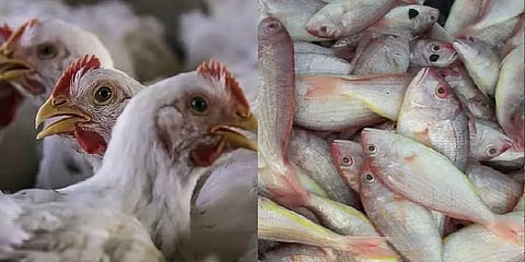 சென்னை: மீன்கள் மற்றும் இறைச்சிகளின் இன்றைய விலை நிலவரம்