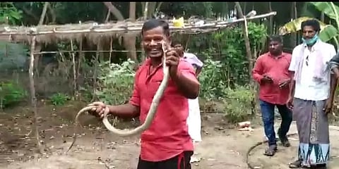 பாம்பை வைத்து சாகசம் செய்த இளைஞர் - பொதுமக்கள் எதிர்ப்பு