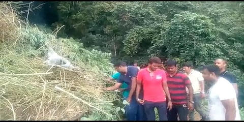 கொடைக்கானல் : ஒரு ஏக்கரில் கஞ்சா செடிகள்..! 2 பேர் கைது