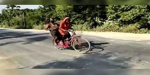 தந்தையை பின்னால் அமரவைத்து 1200கிமீ சைக்கிளில் பயணம் செய்த 15 வயது சிறுமி