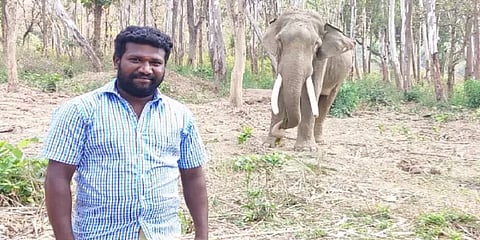 மதுரை திருப்பரங்குன்றம் கோயில் யானைத் தாக்கி பாகன் உதவியாளர் பலி