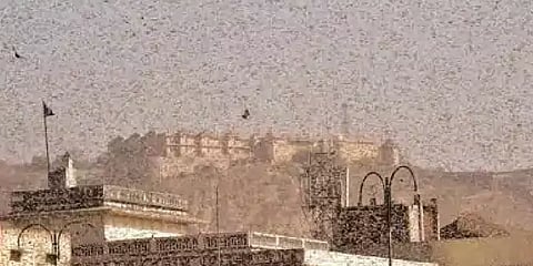 படையெடுக்கும் வெட்டுக்கிளிகள்: முன்னெச்சரிக்கையை தீவிரப்படுத்தும் உபி, டெல்லி!!