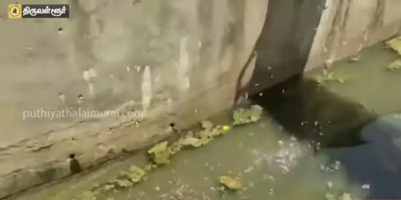 தமிழக எல்லையை வந்தடைந்தது கிருஷ்ணா நதிநீர்