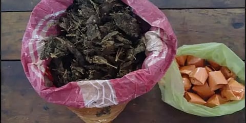 உசிலம்பட்டி: கஞ்சா பதுக்கி வைத்திருந்த மூதாட்டி கைது