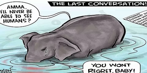 இறந்து போன கர்ப்பிணி யானைக்கு நியாயம் கேட்டு களத்தில் இறங்கிய சிம்ரன் - த்ரிஷா