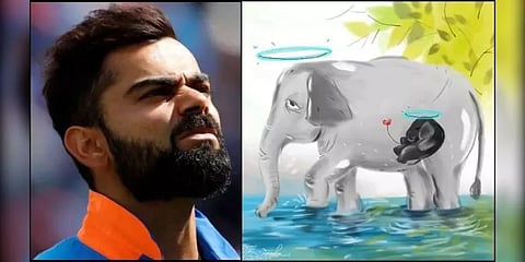 “கோழைத்தனமான செயலுக்கு முற்றுப்புள்ளி வைப்போம்” - யானை இறப்பு பற்றி விராட் கோலி