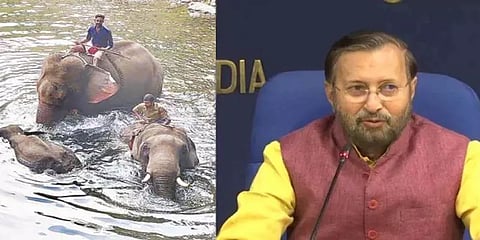 "உணவில் வெடி மருந்தைக் கலந்து கொல்வது நமது கலாச்சாரமல்ல" - பிரகாஷ் ஜவடேகர்