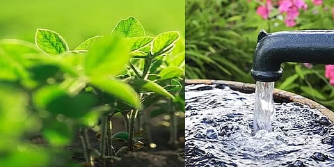 பொதுமுடக்கம் எதிரொலி: 27 மாவட்டங்களில் உயர்ந்த நிலத்தடி நீர் மட்டம் !