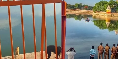 என்ன நடந்தது மதுரை தெப்பக்குளத்தில்? நீண்ட நேரமாக குரைத்த நாயால் பரபரப்பு!!