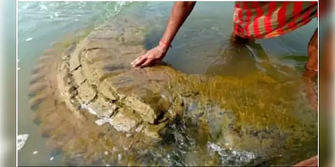 500 ஆண்டுகள் பழமையானதாக சொல்லப்படும் கோயில் ஒடிசாவில் கண்டுபிடிப்பு