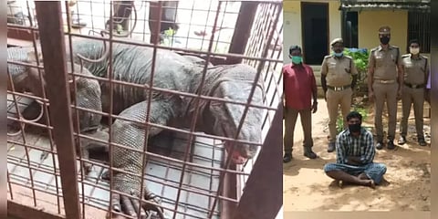 தப்பிச்சென்ற உடும்பு வேட்டையன் : மாறுவேடத்தில் சென்று பிடித்த வனத்துறை..!