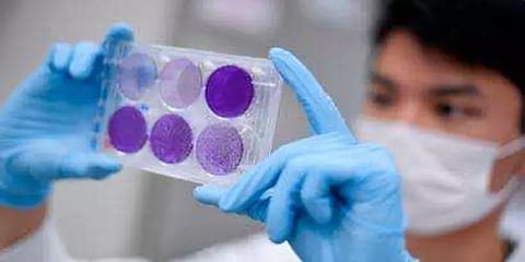 அறிகுறிகள் ஏற்படுவதற்கு முன்பே குடும்பங்களுக்குள் எளிதில் பரவும் கொரோனா: ஆய்வில் தகவல்