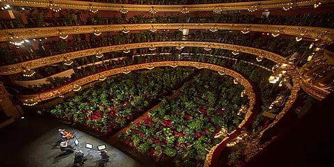 ஸ்பெயினில் நடத்தப்பட்ட இசை நிகழ்ச்சி: பார்வையாளர்களுக்கு பதிலாக தாவரங்கள்!!