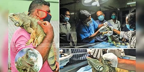 ‘மெகா’ சைஸ் ஓணானை தோளில் போட்டு மருத்துவமனை வந்த நபர்..! - சிகிச்சை செய்த மருத்துவர்கள்