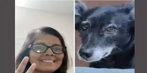 பாசமாக வளர்த்த பெண் மரணம்: சோகத்தில் மாடியிலிருந்து குதித்து உயிரைவிட்ட நாய்..!