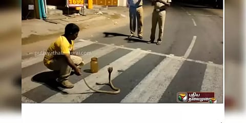 ‘கிட்ட வாங்க பார்ப்போம்’ காவலர்களுக்கு படம் காட்டிய நல்ல பாம்பு..!