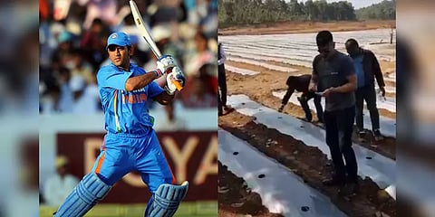 இயற்கை விவசாயி ஆக உருவெடுக்கும் தோனி : கிரிக்கெட் ஓய்வு குறித்தும் புதிய தகவல்..!