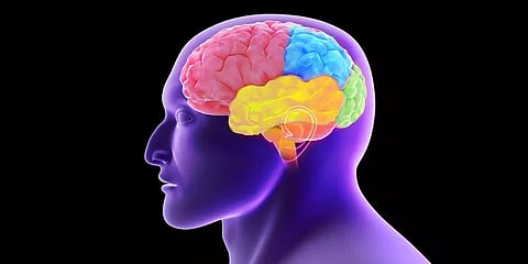 "கொரோனா வைரஸ் தொற்று மூளையை பாதிக்கும்" : எச்சரிக்கும் விஞ்ஞானிகள்..!