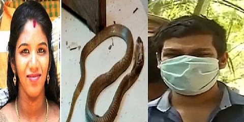 ''எல்லாம் இன்சூரன்ஸ் பணத்திற்காக...' - பாம்பை வைத்து மனைவியை கொலை செய்த வழக்கில் திருப்பம்