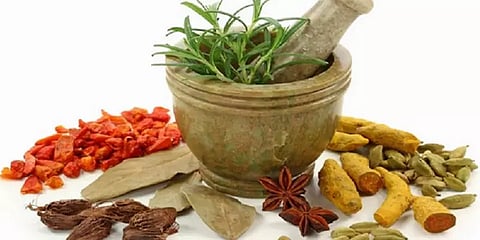 புறக்கணிக்கப்படுகிறதா சித்த மருத்துவம்? – அலசல் ரிப்போர்ட்..!