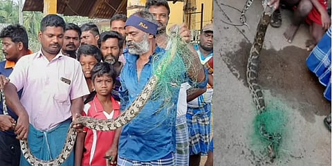 மீனுக்காக வலைவிரித்தவர்களுக்கு காத்திருந்த அதிர்ச்சி : துள்ளிக்குதித்த மலைப்பாம்பு