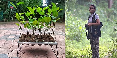 பாலிதீன் பைகளுக்கு ‘குட்பை’.. மரக்கன்றுகளுக்கு் புத்துயிர் அளித்த பெண் வனத்துறை அதிகாரி