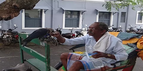 “5 வருடங்களாக காகத்தோடு நட்பு”- நண்பர்களாக மாறிய கதையை சொல்லும் ரிக்ஷா ஓட்டுநர்..!