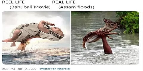 அஸ்ஸாம் வெள்ளத்தில் எடுக்கப்பட்டது என பரவும் புகைப்படம் - உண்மை என்ன?