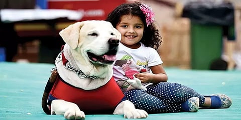 உங்க செல்ல நாய்களுக்கு விதவிதமான உணவுக் கொடுக்குறீங்களா?