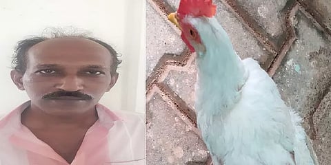 கோழியால் வந்த கொலை வழக்கு - கணவன் மனைவி இருவரும் கைது