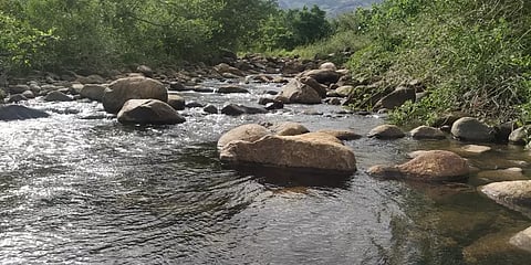 மின்வேலியை தாண்டி வனப்பகுதியில் நுழைந்து ஆற்றில் குளித்தவர்களுக்கு ரூ.60 ஆயிரம் அபராதம்!