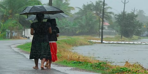 தமிழகத்தில் 7 மாவட்டங்களில் கனமழைக்கு வாய்ப்பு: சென்னை வானிலை ஆய்வு மையம் தகவல்